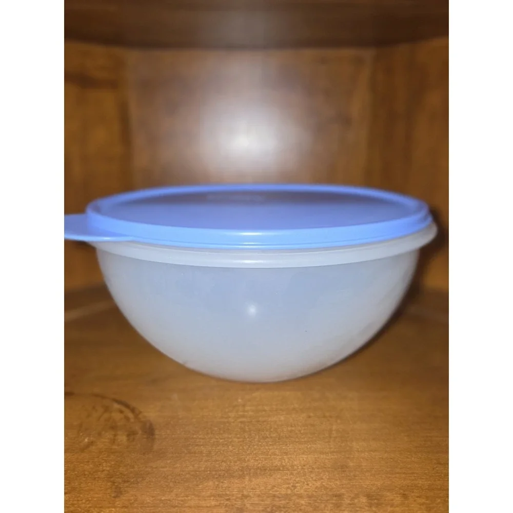 NEW Tupperware Wonderlier Bowls Set of 3 Sheer With Butterfly Lids